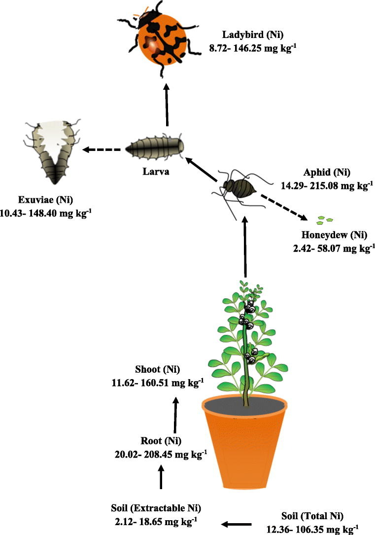 1-s2.0-S004896972102297X-ga1_lrg