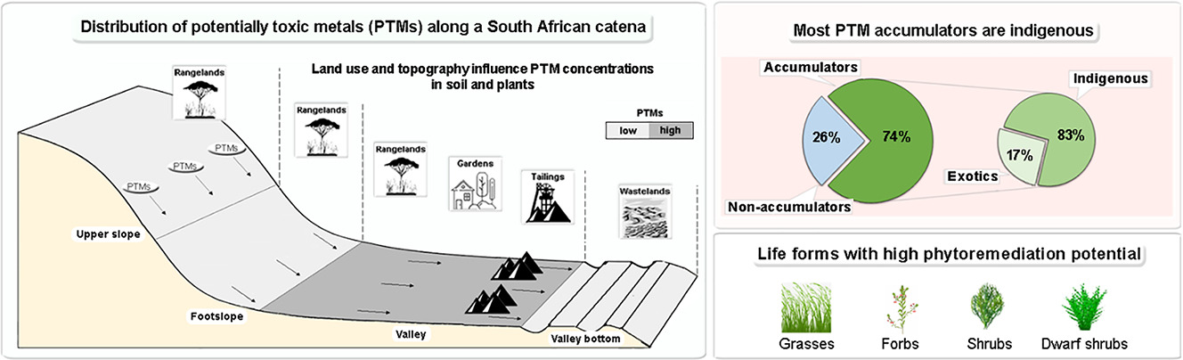 1-s2.0-S0048969721057375-ga1_lrg